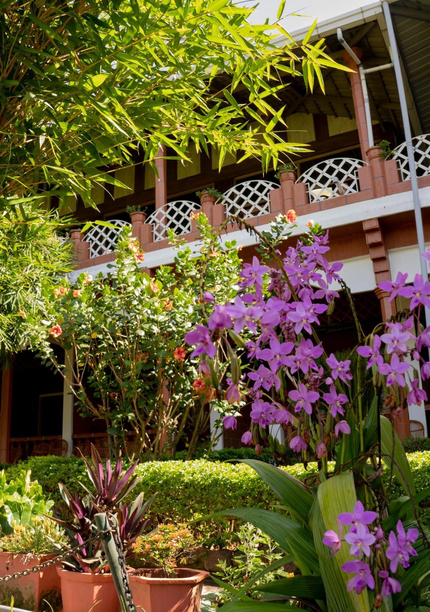 The Nest Inn Resort Masinagudi Luaran gambar
